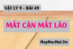 Mắt cận là gì? Mắt lão là gì? Cách khắc phục tật mắt cận và tật mắt lão - Vật lý 9 bài 49